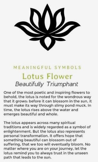 New Beginning Tattoo, Chest Tattoo Ideas, Flower Tattoo Ideas, Ankle Tattoos, Spiritual Tattoos, Symbols And Meanings, Cute Tattoos For Women, Lotus Tattoo, Spine Tattoos