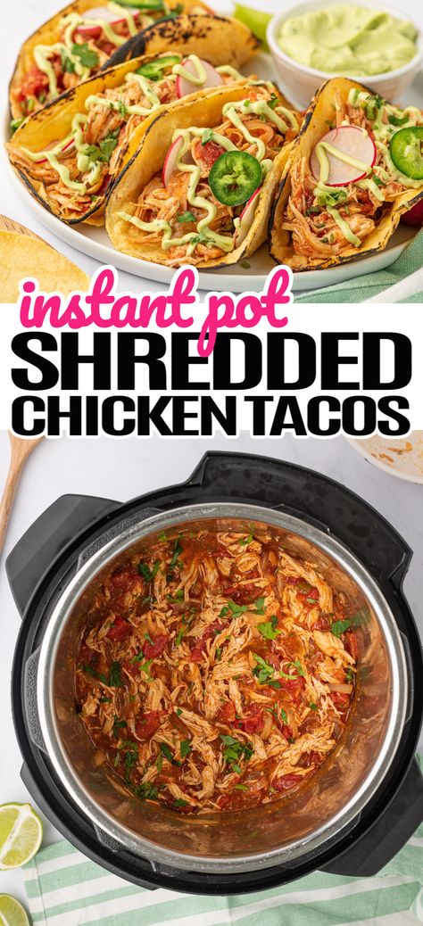 Shredded Chicken Tacos Instant Pot, Creamy Shredded Chicken, Instant Pot Shredded Chicken Tacos, Chicken Tacos Instant Pot, Avocado Cilantro Sauce, Tacos Instant Pot, Instant Pot Shredded Chicken, Pulled Chicken Tacos, Chicken Ranch Tacos