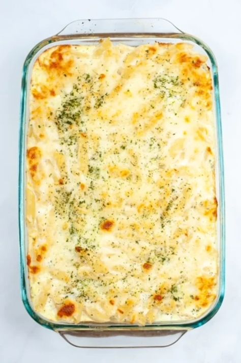 Pasta Recipes For A Crowd, Ziti Alfredo, Creamy Alfredo Pasta, Alfredo Pasta Bake, Baked Chicken Alfredo Pasta, Creamy Pasta Bake, Pasta Bake Recipe, Chicken Alfredo Bake, Pasta Recipes Alfredo