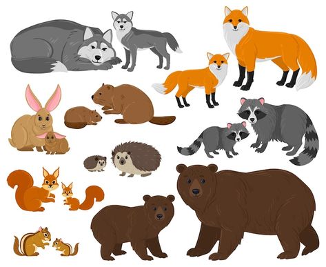 Premium Vector | Cartoon forest woodland animals mothers with cute babies. forest wild animals parent, woods fauna mothers children vector illustration set. animals mom and kids. mother parent and kids forest animal Cartoon Forest, Mom And Kids, Animal Activities, Forest Animal, Bear Cartoon, Infant Activities, Forest Animals, Wild Animals, Mother And Child