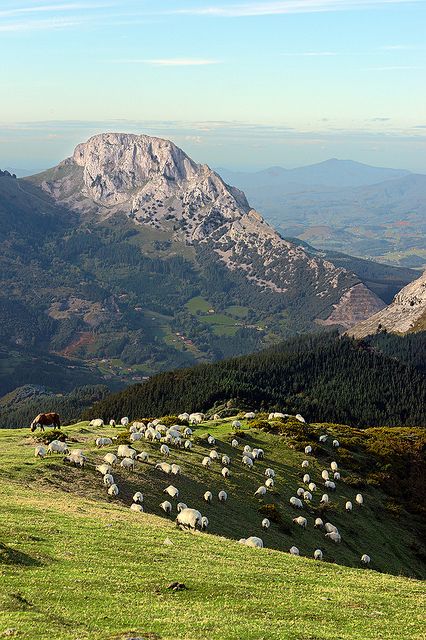 Basque country of Spain by mimadeo Country Mountains, Flock Of Sheep, Northern Spain, Country Landscaping, Basque Country, Spain And Portugal, San Sebastian, Magical Places, Bilbao