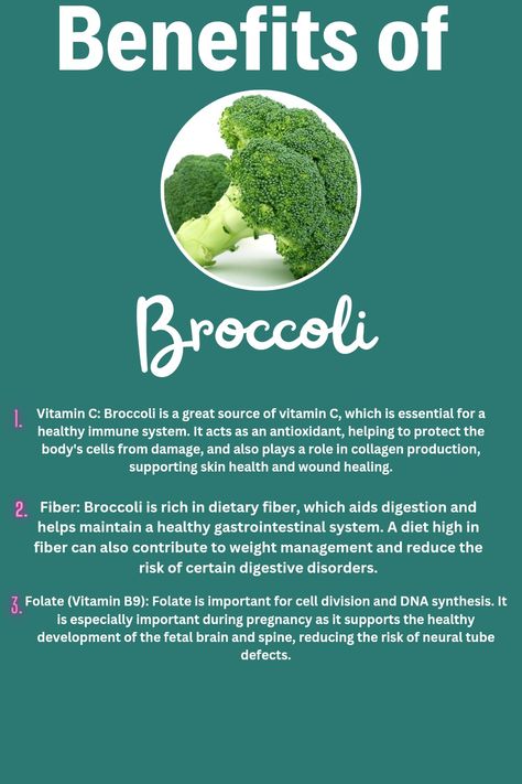 Benefits of Broccoli for health. Health Benefits Of Broccoli, Broccoli Health Benefits, Broccoli Benefits, Vitamin B9, Vegetable Pictures, Gastrointestinal System, Body Cells, Kitchen Witch, Food Source