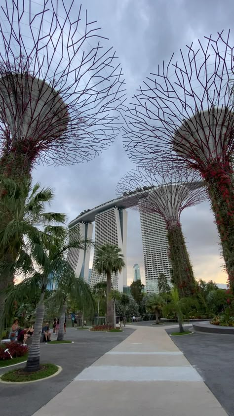 Singapore Vacation, Singapore Attractions, Singapore Things To Do, Sultan Mosque, Singapore Garden, Singapore Tour, Singapore Photos, Singapore City, Easy Photography Ideas