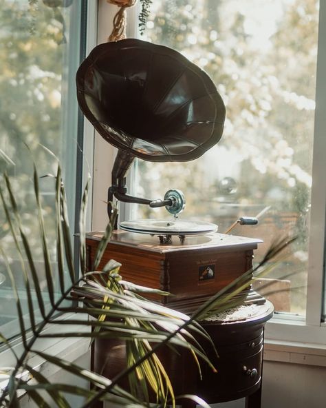 Victorian Sunroom, Rachel Maksy, Victorian Room, Dream House Aesthetic, Black Friday Poster, Nautical Aesthetic, Cottagecore Home, Window Stained, Luxe Bedroom