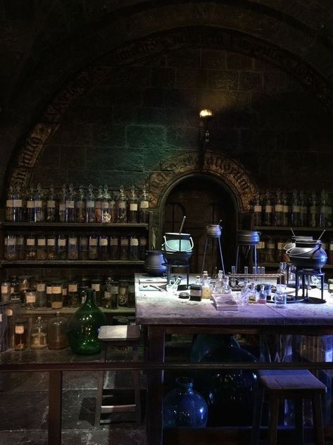 Potions Cupboard, Hogwarts Classes, Stile Harry Potter, Harry Potter Wall, Ravenclaw Aesthetic, Harry Potter Background, Buku Harry Potter, Theme Harry Potter, Images Harry Potter