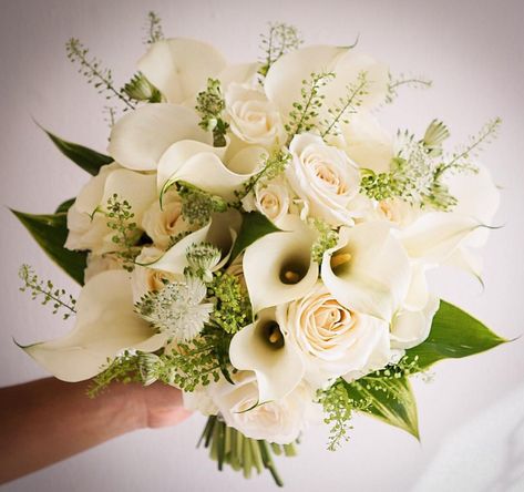 call lily bouquet with greens Calls Lily Bouquet, Calls Lily, Assorted Bouquet, Calla Lily Colors, Classic Wedding Bouquet, Lily Bridal Bouquet, Calla Lily Bouquet Wedding, Mini Calla Lilies, 2023 Ideas