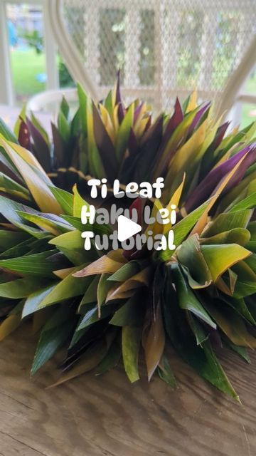 Ho'olei on Instagram: "General rule of thumb.... You always need more ti leaf than you expect. Aaaaaand this lei may cause backaches and fingers cramps, but she's worth it 😍😍😍  #hakulei #tileaflei #tileafhakulei #lei #tileaf #makelei #hoolei #givelei.#normalizelei #maui #aloha" Flower Lei Diy, Ti Leaf Lei, Hawaiian Flower Crown, Lei Diy, Grad Leis, Diy Macrame Plant Hanger Tutorials, Money Lei Diy, Lei Ideas, Tahitian Costumes