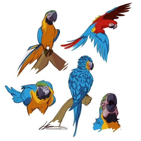 Parrot Character Design, Macaw Drawing, Macaw Art, Macaw Bird, Parrot Drawing, Parrots Art, Bird Sketch, Animal Drawings Sketches, Macaw Parrot