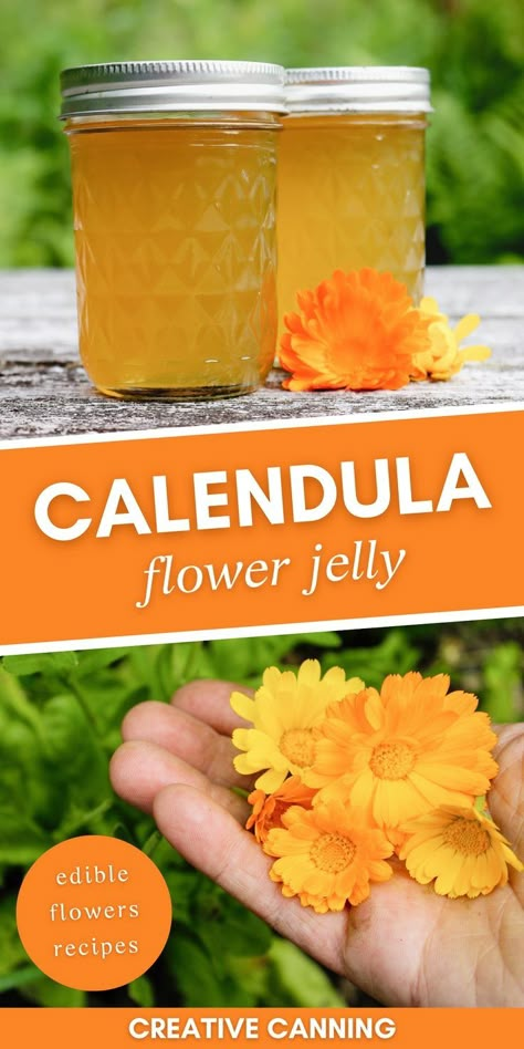 Calendula Recipes Food, Flower Jelly Recipes, Jelly Recipes For Canning, Calendula Recipes, Homemade Jelly Recipe, Clover Jelly, Herbal Business, Fruit Jelly Recipe, Recipes For Canning