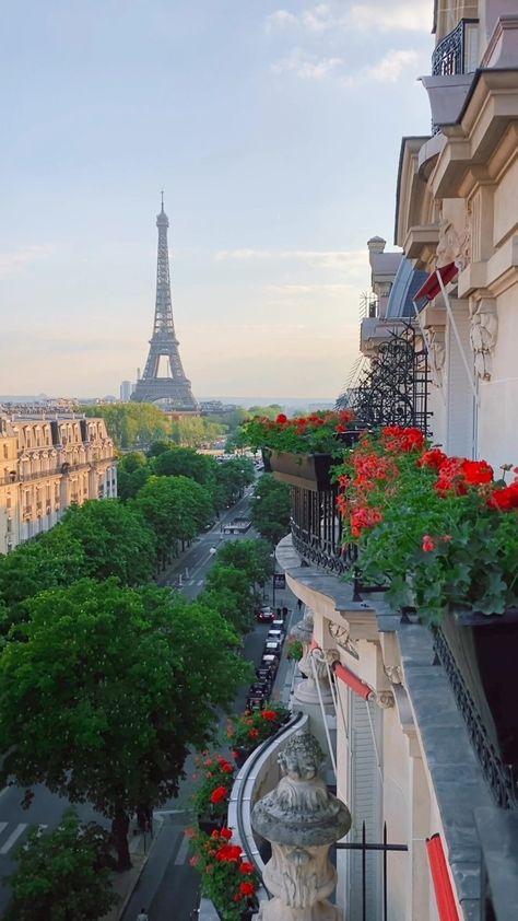 Hôtel Plaza Athénée (@plaza_athenee) | Instagram Hotel Plaza Athenee, Hotel Plaza Athenee Paris, Plaza Athenee Paris, Paris Bathroom, Avenue Des Champs-élysées, Plaza Athenee, Paris Architecture, Paris Aesthetic, Paris Pictures