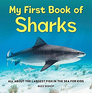 My First Book of Emotions for Toddlers: Kerek MD, Orlena, Hartmann, April: 9781685390747: Amazon.com: Books Shark Books, Types Of Sharks, Shark Facts, All About Sharks, Fish In The Sea, Curious Kids, Kids Exploring, Children Images, Beneath The Surface