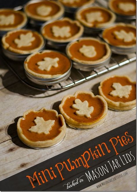 Mini-Pumpkin-Pie-Recipe-Baked-in-Mason-Jar-Lids Mason Jar Lid Recipes, Mason Jar Lid Pies, Mason Jar Pies, Mini Pumpkin Pies Recipe, Small Pies, Pumpkin Roll Cake, Mason Jar Desserts, Crafts Love, Mason Jar Lid