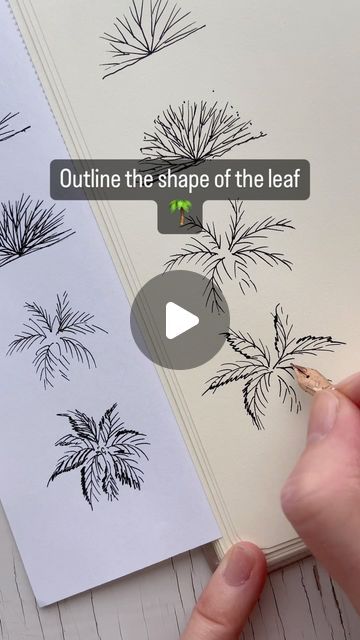 Different Types Of Leaves, Types Of Leaves, 2023 Drawing, Instagram Drawing, Circle Template, The Leaf, Palm Leaves, Palm Tree, Round Shape