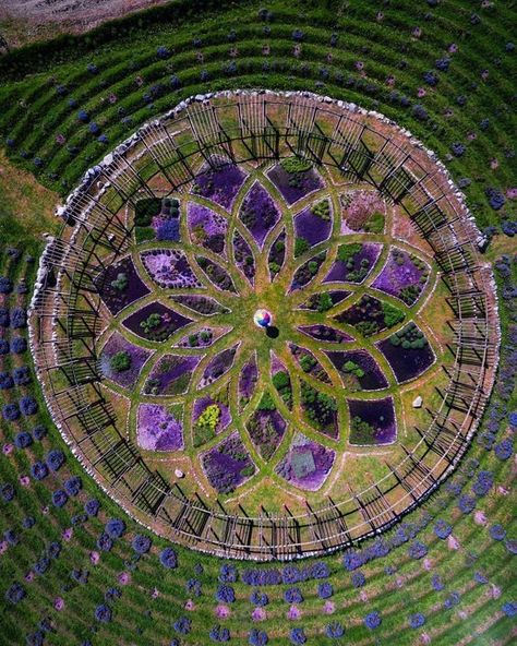 Circular Garden, Labyrinth Garden, Sacred Garden, Permaculture Design, Garden Design Plans, Vegetable Garden Design, Community Gardening, Gorgeous Gardens, Garden Layout