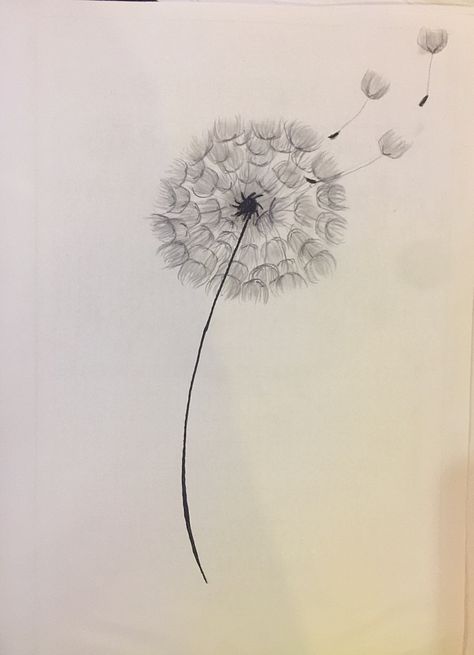 Dandelion Drawings, Draw With Pencil, Dandelion Drawing, Ap Studio Art, Drawing Inspo, Love Drawings, Studio Art, Pen Drawing, Backyard Decor