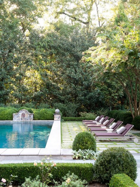 Laurel Cottage, Lap Pools, Pool Pavers, Pool Inspiration, Summer Lounge, Swimming Pool Ideas, Pool Landscape Design, Pool Lounger, Pool Landscape