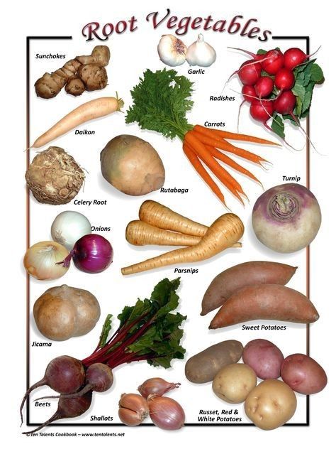 Root Vegetables List, Vegetables List, Name Of Vegetables, Fruits And Vegetables List, Vegetable Chart, Different Types Of Vegetables, List Of Vegetables, Root Veggies, Turnips