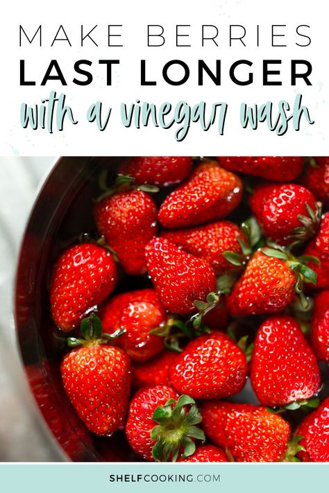 Come learn how to make berries last longer with a vinegar wash. We also have other fruit storage tips to help keep your fruit stay fresh and reduce food waste! How To Keep Fruit Fresh Longer, Fruit Veggie Wash, Fruit Wash, Shelf Cooking, Food Shelf Life, Store Fruit, Prevent Food Waste, Fruit Fresh, Storage Tips