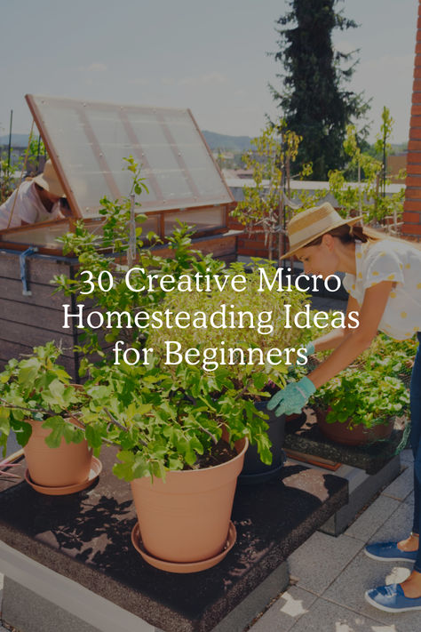 30 Creative Micro Homesteading Ideas for Beginners Apartment Backyard, Cottagecore Life, Sustainable Homestead, Micro Farm, Micro Garden, Environmentally Friendly Living, Homesteading Ideas, Dig Gardens, Future Farms