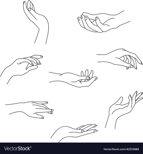 Women Hand Illustration, Drawing Of A Hand Holding Something, Female Hands Tattoo, Minimalist Hand Drawing, Outline Hand Tattoo, Nails Illustration Design, Hands Illustration Simple, Woman Hand Reference, Hand With Nails Drawing