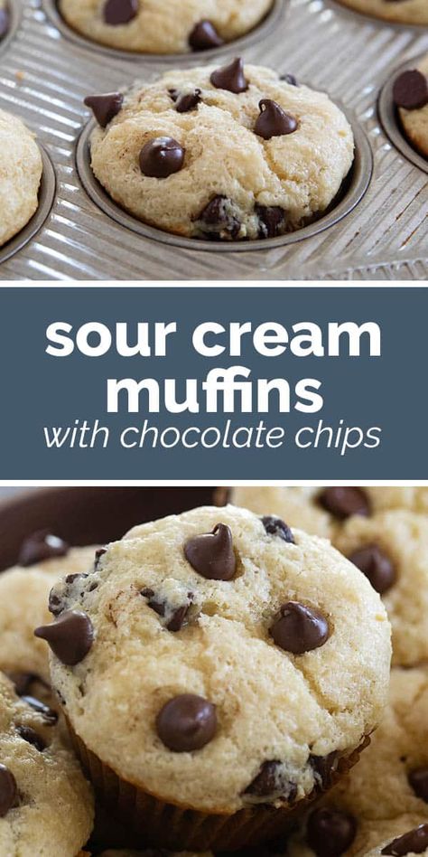 A buttery, moist muffin, studded with chocolate chips, these Sour Cream Muffins with Chocolate Chips are the perfect breakfast treat! Breakfast Ideas For One Person, Breakfast Ideas For One, Moist Chocolate Chip Muffins, Muffin Cups Recipes, Sour Cream Muffins, Healthy Chocolate Recipes, Chocolate Muffin Recipe, Moist Muffins, Chocolate Breakfast