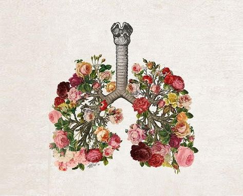 Lungs Art, Tattoo Painting, Bouquet Tattoo, About Relationships, Quotes About, Quote Love, Medical Art, Trendy Flowers, Nature Tattoos