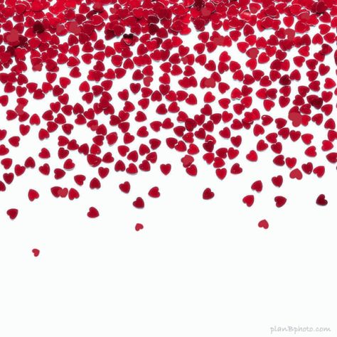 Heart Hearts GIF - Heart Hearts Falling Hearts - Discover & Share GIFs Raining Background, Happy Valentine Gif, Valentines Day Gif Images, Heart Animation, Animated Friends, Wallpaper Birthday, Rain Animation, Animated Flowers, Raining Hearts