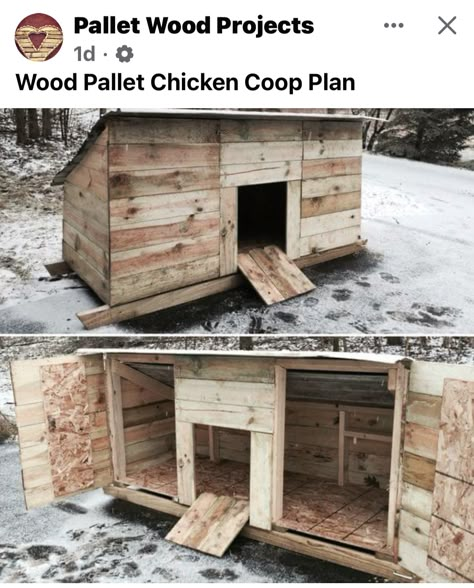 Duck And Geese Coop, Dog House Duck Coop, Poultry Coop Ideas, Diy Pallet Duck House, Duck Shed Ideas, Duck Coop Interior Ideas, Pet Duck House, Duck Housing Ideas, Chicken House Ideas Buildings Simple