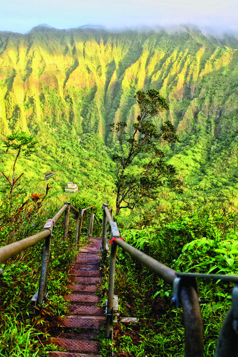 Stairway To Heaven Hawaii, Hawaii Hikes, Moving To Hawaii, Hawaii Honeymoon, Hiking Spots, Hawaii Life, Hawaii Trip, Travel Hawaii, Big Island Hawaii