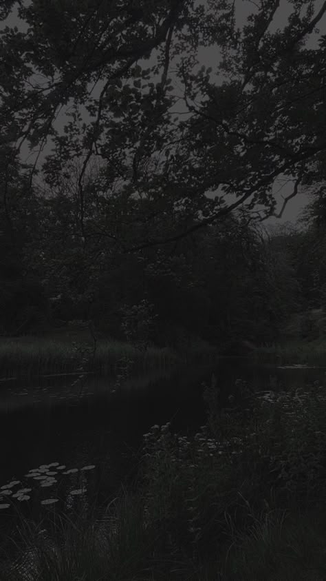 Dull Aesthetic, Darker Aesthetic, Quiet Photos, Goblincore Fairycore, Brown Hairstyles, Dark Naturalism, Dark Forest Aesthetic, Rainy Day Aesthetic, Dark Landscape