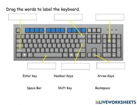 Basic Keyboard Keys worksheet Keyboard Worksheet, Keyboard Worksheet Grade 1, Short Keys Of Computer, Short Cut Keys Of Computer, Computer Keyboard Shortcut Keys, Keyboard Computer Keys, Parts Of The Computer Keyboard, Computer Activities For Kids, Worksheets For Class 1