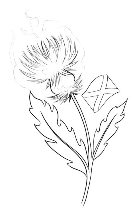 Thistle Flower Drawing, Thistle Illustration Simple, Thistle Outline, Scottish Thistle Drawing, Thistle Drawing, Scottish Thistle Art, Celtic Thistle, Scottish Tattoos, Scotland Thistle