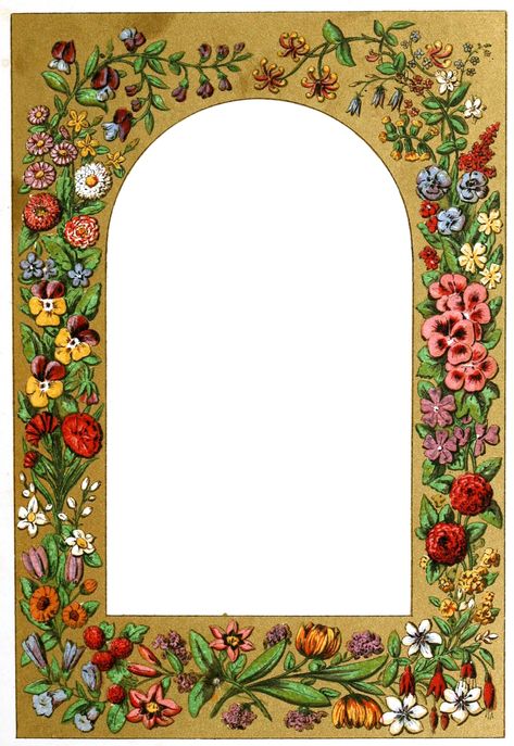 Border Illustration Frames, Illustrated Frame, Border Illustration, Family Tree Art, Tree Frame, Floral Frames, Page Borders, Islamic Art Pattern, Iranian Art