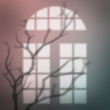 Background Environment, Tree Shadow, Mockup Background, Window Shadow, Studio Backdrops Backgrounds, Photoshop Backgrounds Free, Blurred Background Photography, Indoor Window, Beauty Salon Logo