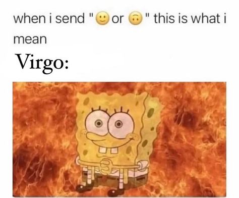 Libra Funny, Funny Virgo Quotes, Virgo Emotions, Virgo And Aries, Virgo Personality, Virgo Memes, Virgo And Taurus, Taurus And Aquarius, Aries And Gemini