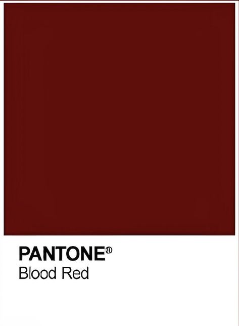 Monica Aesthetic, Pantone Red, Red Color Background, Blood Red Color, Cat 2, Blood Red, Red Aesthetic, Color Swatches, Color Combination