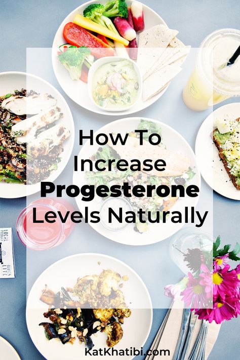 Progesterone Foods Increase, Progesterone Increasing Foods, Progesterone Deficiency Diet, How To Get More Progesterone, Progesterone Building Foods, Foods With Progesterone, Progesterone Deficiency Remedies, How To Improve Progesterone Levels, Increase Lh Hormone