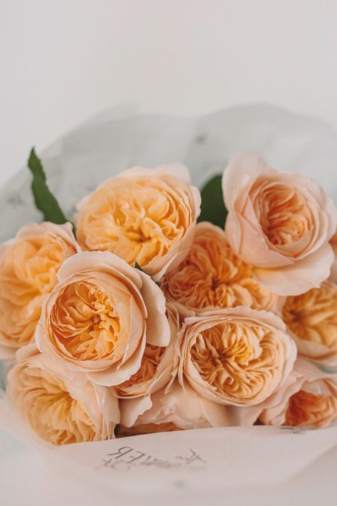 Flowers Juliette Rose, Flower Edit, Juliet Rose, Rose Arrangements, Rose Fragrance, French Wedding, Spray Roses, Dried Floral, Beautiful Blooms