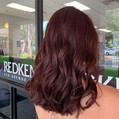 Brunette Hair Red Tint, Natural Red Wine Hair Color, Burn Red Hair, Red Hair For Brown Hair, Subtle Red Hair Color, Deep Ruby Red Hair, Red Auburn Hair Color Burgundy, Dark Brown Hair With Amber Highlights, Dark Red Hair Brunettes