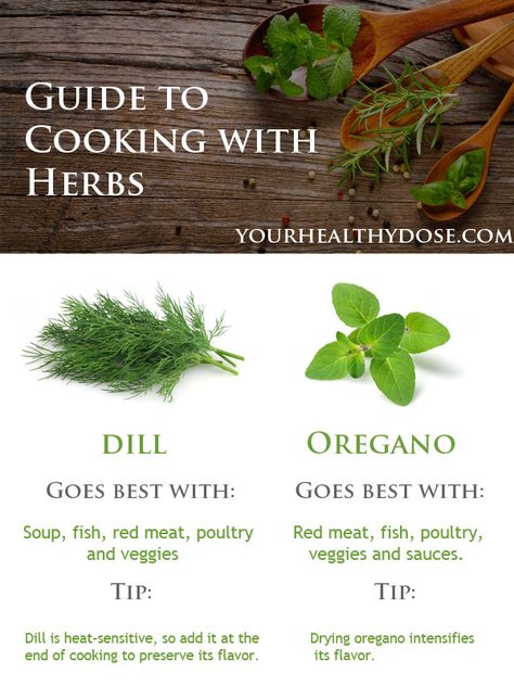 Read on to discover more about some common culinary plants, as well as a few new ones you might want to add to your next recipe! #guide #cooking #herbs #dill #oregano #healthy #food #healthydose Dill Herb Recipes, Dill Benefits, Nutrient Food, Scandinavian Cooking, Creative Dishes, Cooking Herbs, Food Pairing, Spice Mix, How To Eat Better