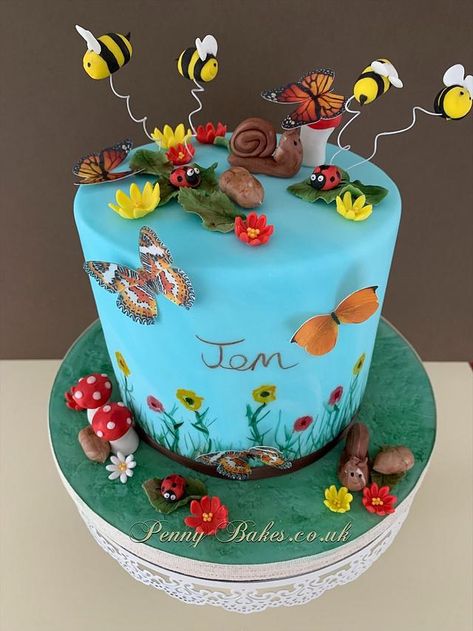 Bugs birthday cake - cake by Penny Sue Insect Theme Cake, Insect Birthday Cake, Bugs Birthday Cake, Bug Cake Ideas, Bugs Cake, Bugs Cake Ideas, Bug Cakes, Bug Birthday Cakes, Science Cake