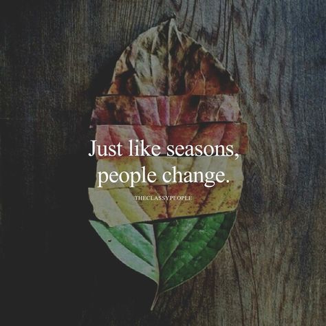 Just like seasons people change Seasons Change Quotes, People Change Quotes, Sales Shopify, Season Quotes, Mindset Growth, Letting Go Quotes, Grant Cardone, Growth Hacking, People Change