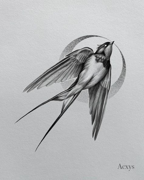 Swallow Tattoo Design Drawing, ငှက် Tattoo, Bird Landing Drawing, Swallow Tattoo Men, Tattoo Golondrina, Swallow Bird Drawing, Swallow Tattoo Ideas, Swallow Drawing, Birds Tattoo Design