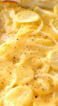 Potato Scallop, Ham And Scalloped Potatoes, Potatoes Scalloped, Homemade Scalloped Potatoes, Scallop Potatoes, Cheesy Scalloped Potatoes Recipe, Easy Scalloped Potatoes Recipe, Best Scalloped Potatoes, Potatoes And Gravy