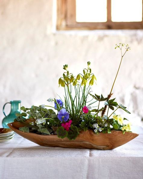 Centerpiece Ideas For Dining Room Table, Dough Bowl Centerpiece, Homey House, Succulent Planting, Green Chinoiserie, Rustic Centerpiece, Iron Plant Stand, White Blossom, Flower Pot Garden