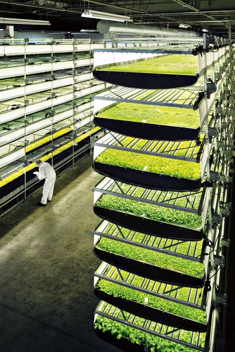 Vertical Farm, Smart Farm, Indoor Farming, Hydroponic Farming, Aquaponic Gardening, Vertical Farming, Hydroponic Growing, Urban Agriculture, Aquaponics System