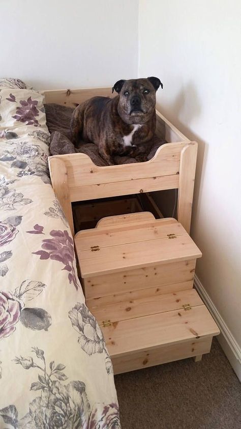 Bid farewell to allergy concerns with our anti-allergic dog beds for large dogs, protecting your pet from potential irritants. Raised Wooden Dog Bed, Wooden Dog Bed, Co Sleeper, Dog House Diy, Diy Dog Bed, Dog Rooms, Diy Dog, Dog Houses, Diy Stuffed Animals