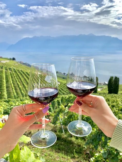 Lavaux- The Swiss Terraced Vineyards - Swiss Or Miss Travel Switzerland, Europe 2024, Wine Tourism, Lake Geneva, Switzerland, Terrace, Tourism, Lake, Wine