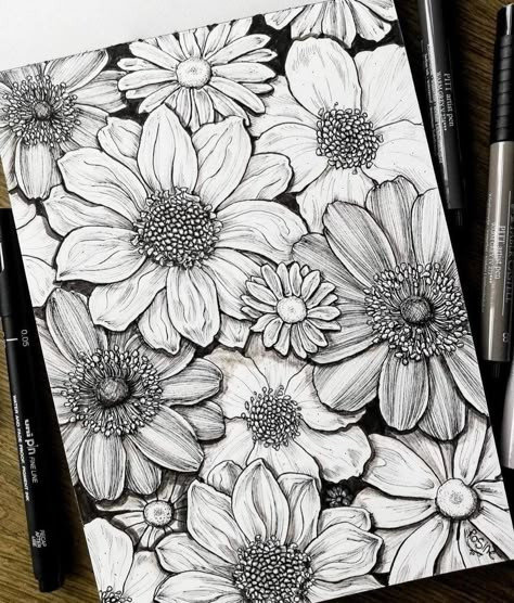 Daisy Ink Drawing, Fineliner Art, Line Art Flowers, Doodle Art Flowers, Daisy Art, Pen Art Drawings, Flower Art Drawing, Tangle Art, Flower Sketches