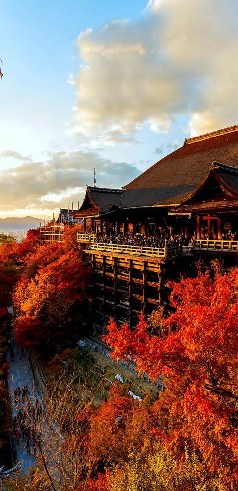 Kiyomizu temple in Kyoto in Autumn leaves season. Kiyomizu-dera Temple, Kiyomizu Dera, Hanoi Vietnam, Travel Japan, Tulum Mexico, Japan Trip, The Rising Sun, Japanese Architecture, Visit Japan